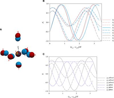 Numerical study of the effects of hydrodynamic interactions among cells for microfluidic holographic cyto-tomography